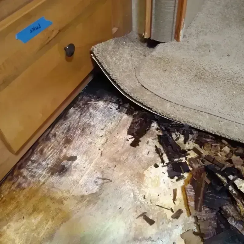 Wood Floor Water Damage in Worden, IL